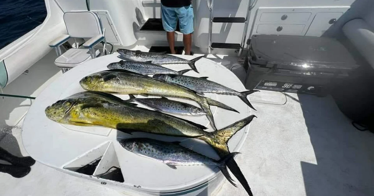 Fishing in Puerto Vallarta: Which Boat, How Many Hours, What It Costs