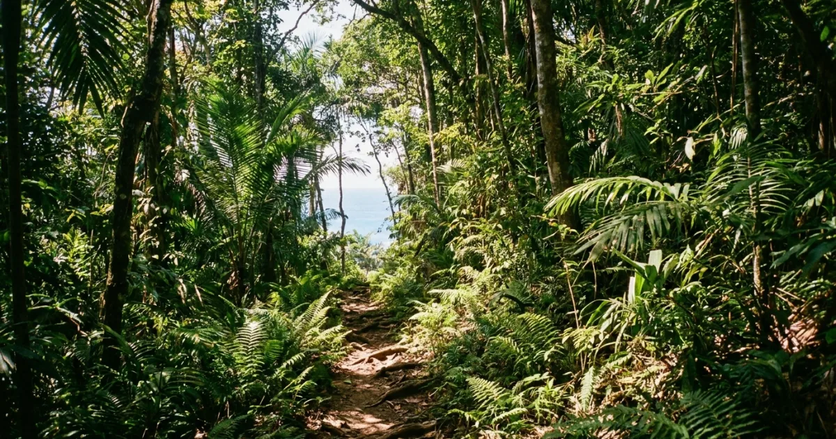 Top 10 rutas de senderismo en Puerto Vallarta